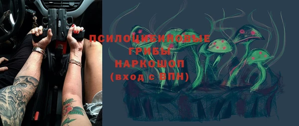 ПСИЛОЦИБИНОВЫЕ ГРИБЫ Белоозёрский